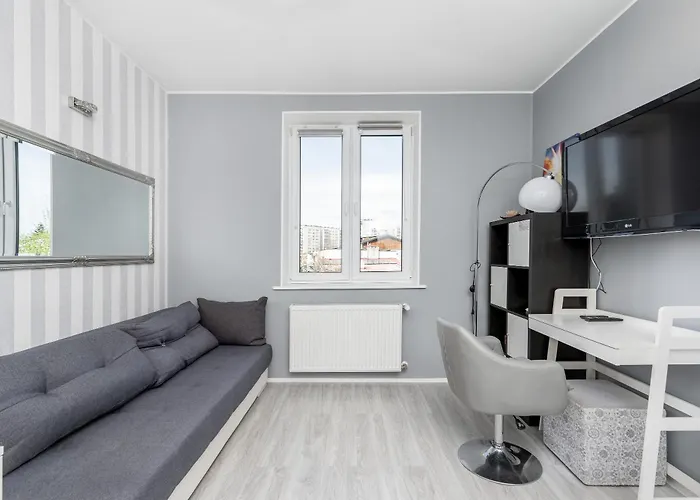 Cegielniana Grey Studio